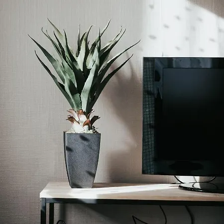 Apartamento L'adorable Confort & *